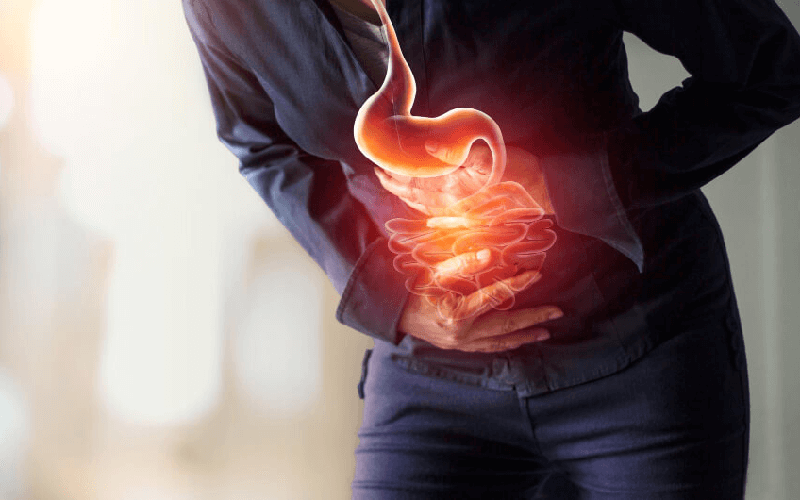 Gut Reset Programme